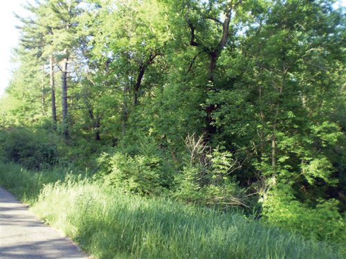 Property photo 2 - 20 Acres Offered in 3 Tracts - Hunting, Wildlife, & Recreation!
